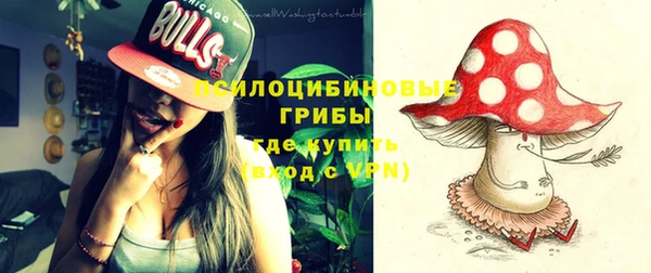 spice Краснослободск