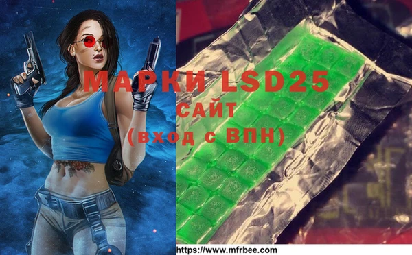 spice Краснослободск